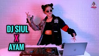 DJ SIUL X AYAM (DJ IMUT REMIX)