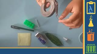Pendalaman Materi IPA Kelas 6 Benda Magnetis dan Benda Nonmagnetis