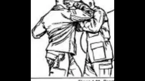 Nasanieru - anelbowtothefaceputsyouintoplacev0 -