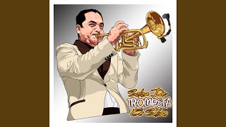 Solos de Trompeta en Salsa