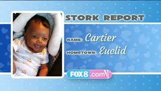 Stork Report FOX8 News 14Sept2017