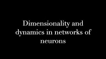Dimensionality and dynamics in networks of neurons