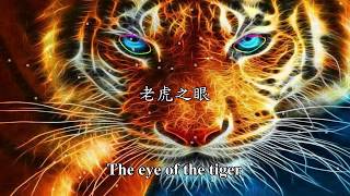 洛基老虎之眼[動態歌詞] The eye of the tiger 