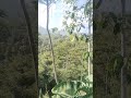 bukit cadas gantung #cadasgantung