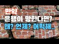 주말특선_만약 은행이 망한다면?