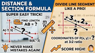 Class 10 Maths Important Question | Distance + Section Formula @Eternitymath