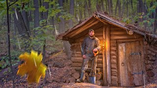 A man has been building a log cabin in the wild forest for 2 years
