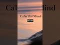 You Are Allowed to Rest | Guided Meditation #meditation #selfcare #relax #rest #nervoussystem