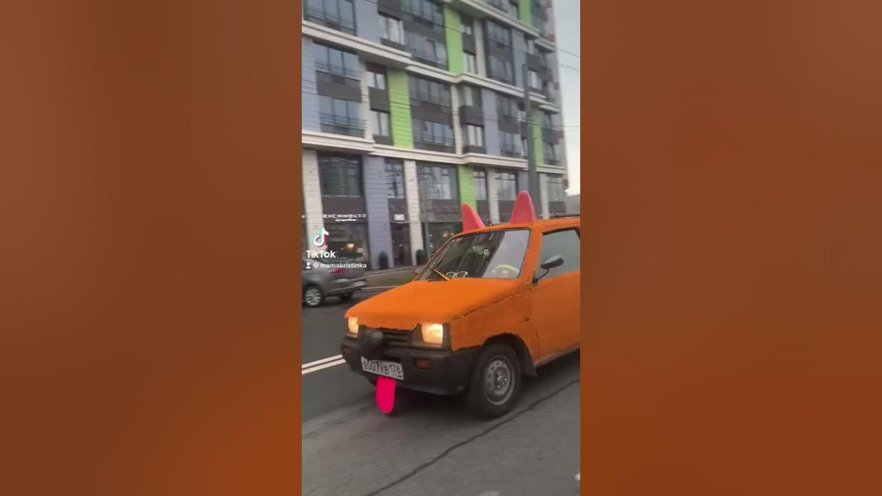 Рожа Протокольная Воровайки - YouTube