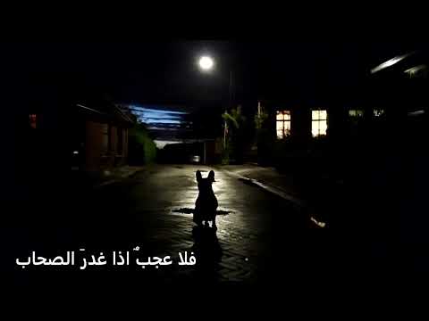 فلا عجب اذا غدر الصحاب الشريف الرضي