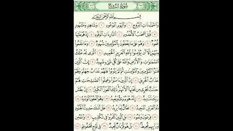 سورة البروج للقارئ محمد عادل التكالي