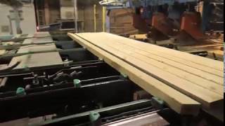 dry sorting line