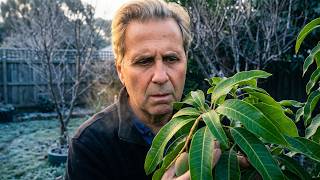 Winter Pruners + Tropical Garden Walk - You Won’t Believe What’s Still Alive