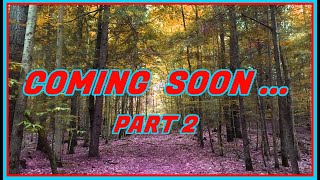 Coming Soon ... Part Two