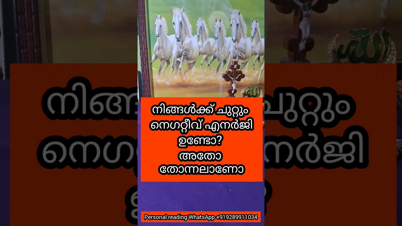เดจเดฟเดเตเดเดณเตเดเต เดเตเดฑเตเดฑเตเด เดจเตเดเดฑเตเดฑเตเดตเต เดเตผเดเตเดเดเตเดเตพ เดเดฃเตเดเต? #astrology #tarot #motivation #affirmations #viral