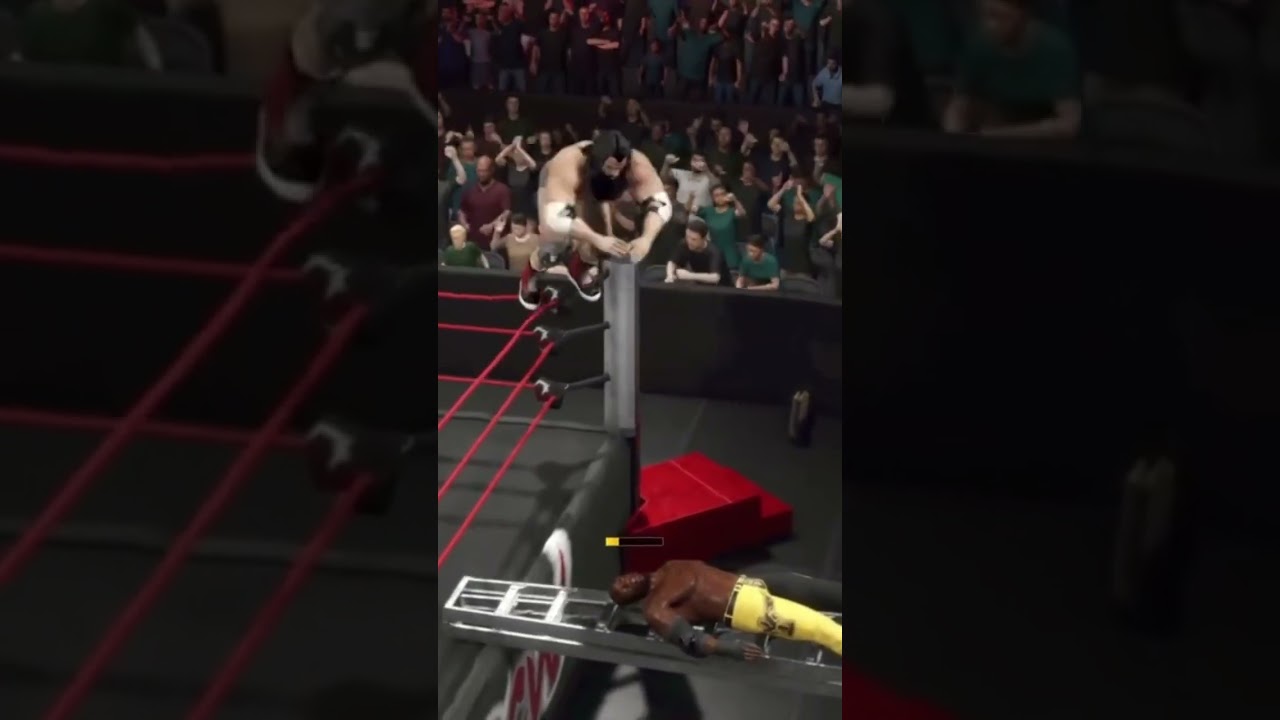 OMG! Lee Turner leaps off the top rope and puts Bobby through the ladder 🪜 #WWE2K #PCW #LeeTurner