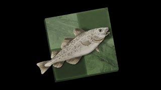 CODING Multi-Variant Stockfish 12