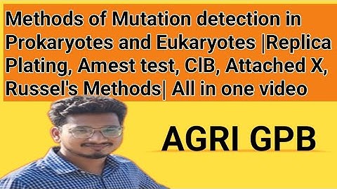 Genetics-41: Methods of mutation detection || Replica plating, Amest test, ClB, Attached X, Russel