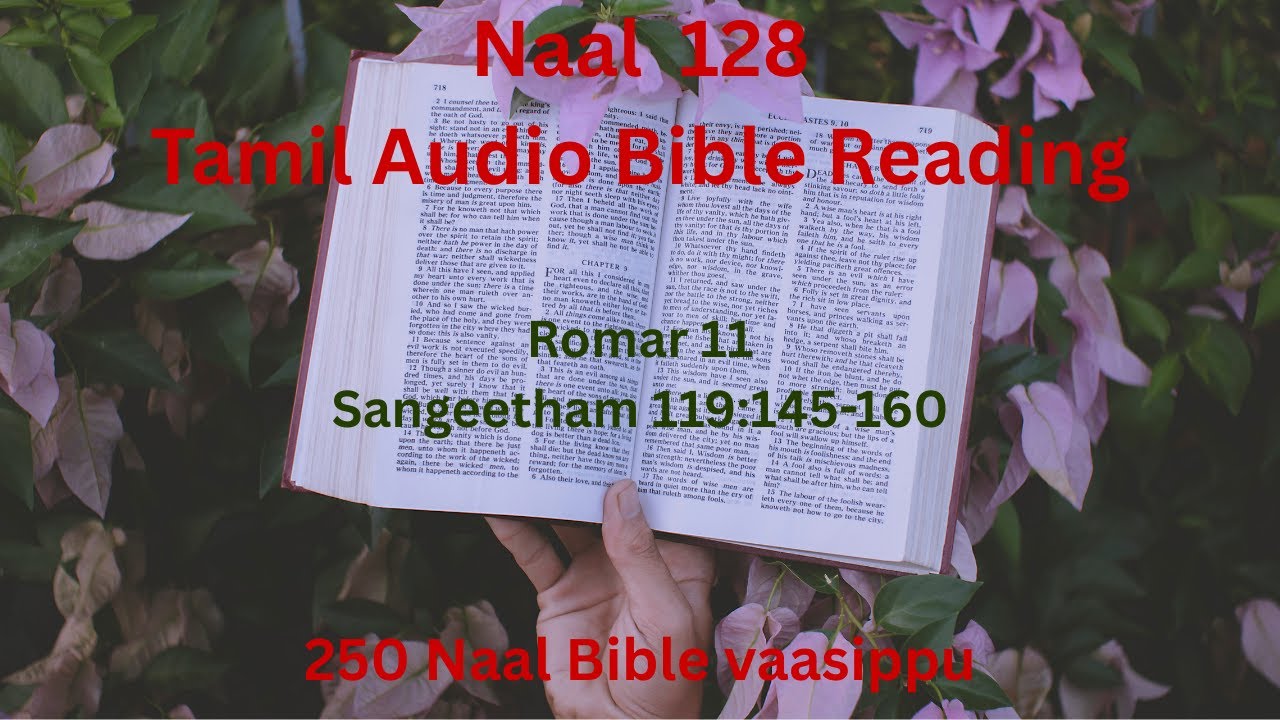 Naal  128 | Romar 11 & Sangeetham 119:145-160 | Tamil Audio Bible Reading|