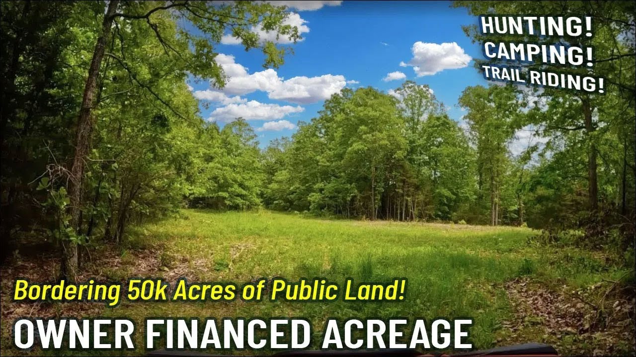 1,500 Down Payment Owner Financed Acreage on 50,000 Acres Public