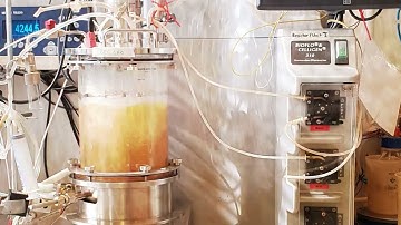 MYKOHOLZ | MYCOWOOD (2023, DE | EN)