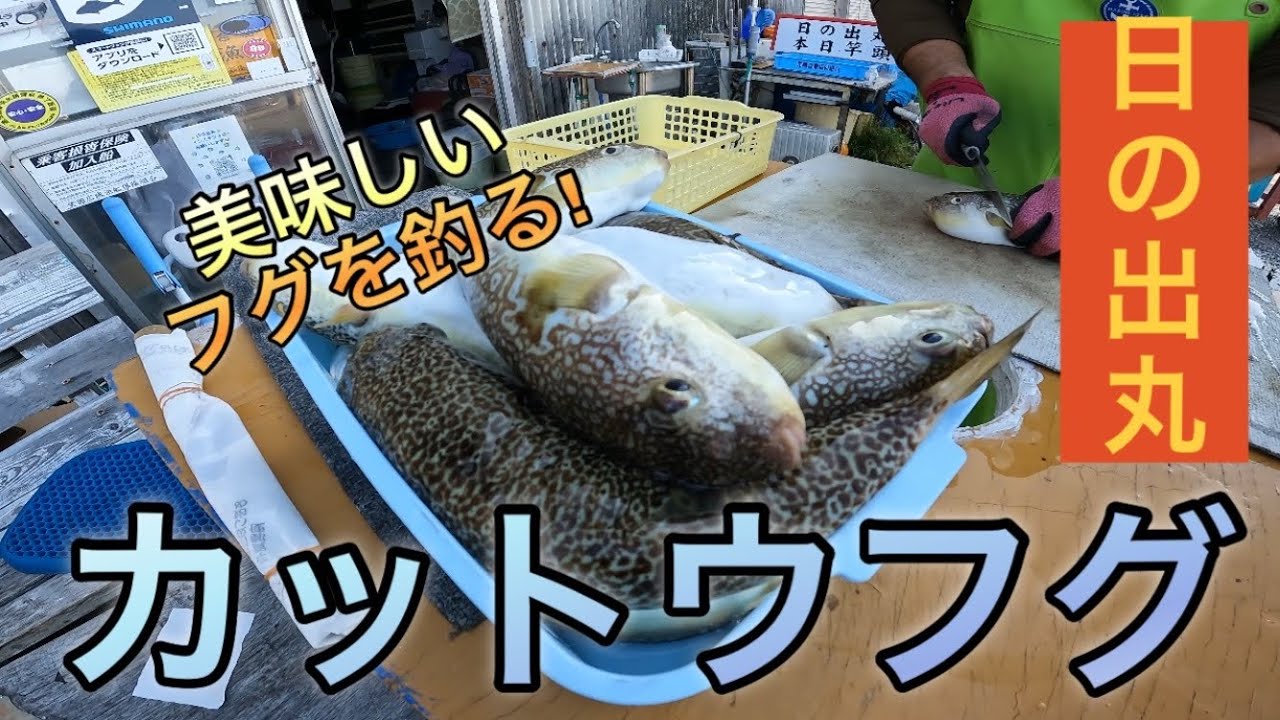 【神戸沖】ショウサイフグ、カットウ釣り【日の出丸】