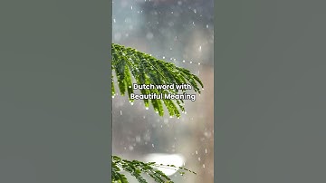 Learn Dutch with Airlearn, Download Now!    #airlearn #languagelearning #dutchlearning #learnlanguag