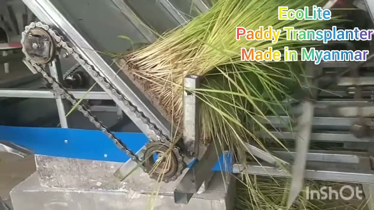 စပါးစိုက်စက်-ကောက်စိုက်စက် Paddy Transplanting Machine