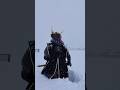 越後上越の雪ーBehold the massive snowfall of Echigo-Joetsu. #snow #samurai