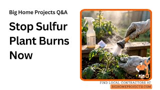 Lime-Sulfur Dusting Mite Burn Prevention Guide