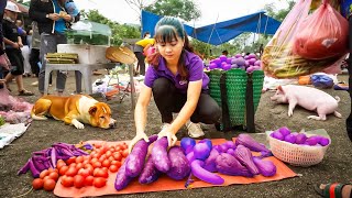 Harvesting Beans and Vegetables Goes To Market Sell - Free farm life | Phuong Daily Harvesting by Phuong Daily Harvesting 102,746 views 1 month ago 3 hours, 8 minutes