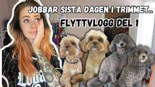 Sista dagen i trimmet… 🥺| Flyttvlogg Del 1