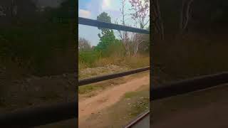 duniya chut gelak seker dukh nakhe re mor jaan#nagpuri#said#song#💯❤️💯😭💯💔💯🥰