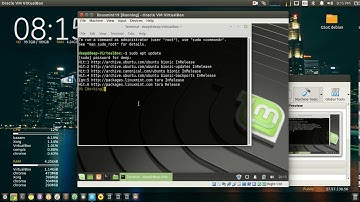 dnsmasq problem linux mint 19