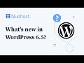 What's new in WordPress 6.5?