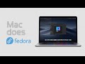I Broke Fedora Linux on My Mac in 2 Minutes (and fixed)