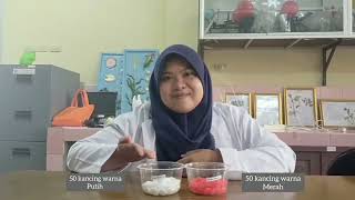 Praktikum Hukum Mendel 1 || Genetika