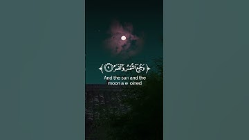 سورة القيامة بصوت ياسر الدوسري