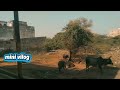 Day 36 of 100 days challenge ll mini vilog#youtubeshorts #youtubeshorts #ytshort #trendingshorts 