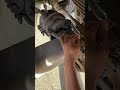 part 3824 brake return spring