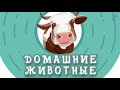 Домашние животные. Учим ЖИВОТНЫХ.