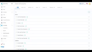 Getting started - Chart of Accounts screenshot 5
