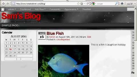 Easy Wordpress Training 14 – How to Use Widgets.