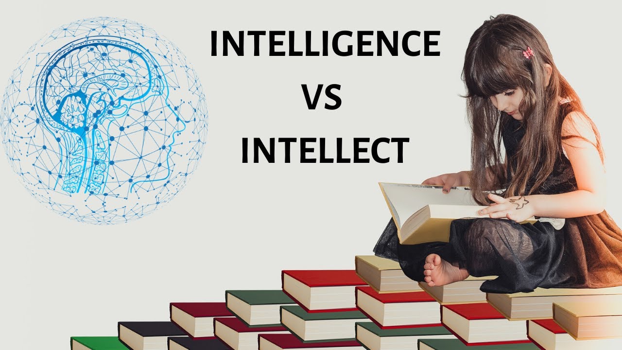 Intelligence Vs Intellect - What'S The Difference Between Intelligence And Intellect