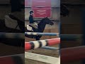 Schooling day @ RMSJ #calgary #equestrian #showjumping #horse #horseriding #jumping