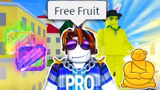 The Roblox Blox Fruits Experience Compilation 