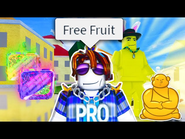 The Roblox Blox Fruits Experience Compilation 