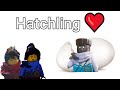 Dragons Rising Season 1 Part 1 terribly explained in 33 seconds