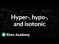 Hypotonic, isotonic, and hypertonic solutions (tonicity) | Khan Academy