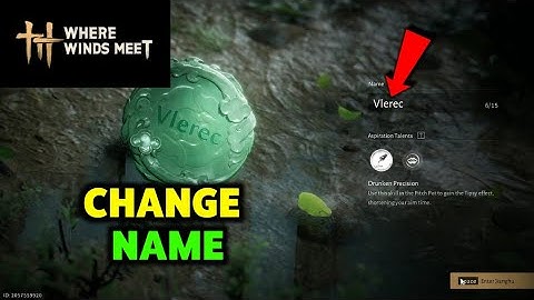 How To Change Name on Where Winds Meet